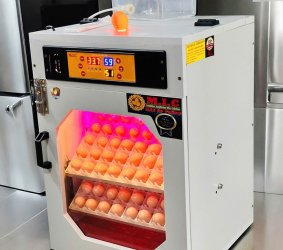 Máy ấp trứng 100 cao cấp (112 sức chứa) Phiên bản mới nhất 2026 | Bản Cao Cấp