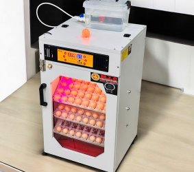 Máy ấp trứng 150 ( 168 sức chứa tối đa) Phiên bản mới nhất 2026 Bản Cao cấp
