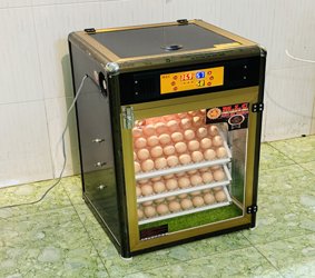 Máy ấp trứng 150 (168 trứng tối đa) phiên bản mới 2024 vật liệu Nhôm Composite (bản Base)