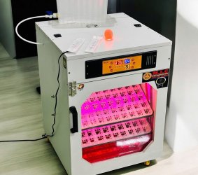 Máy ấp trứng 200 Phiên Bản Cao Cấp 2026