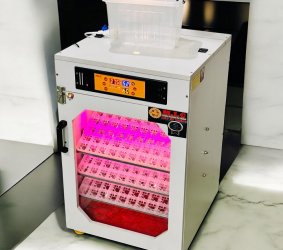 Máy ấp trứng 300 Phiên Cao Cấp bản 2026