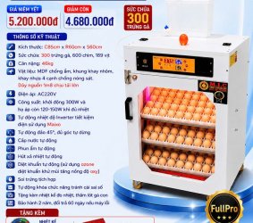 Máy ấp trứng 300 Phiên Cao Cấp bản 2026