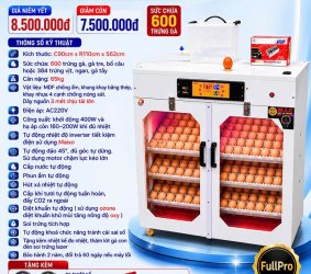 Máy ấp trứng 600 phiên bản cao cấp cửa đôi date 2026
