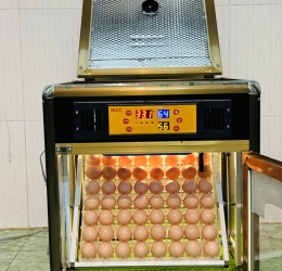 Máy ấp trứng 56 phiên bản mới 2024 vật liệu Nhôm Composite (bản Full)