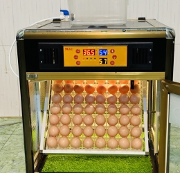 Máy ấp trứng 56 phiên bản mới 2024 vật liệu Nhôm Composite (bản Full)