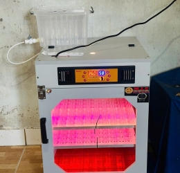 Máy ấp trứng 200 Phiên Bản Cao Cấp 2026