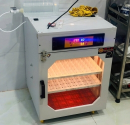 Máy ấp trứng 200 Phiên Bản Cao Cấp 2026