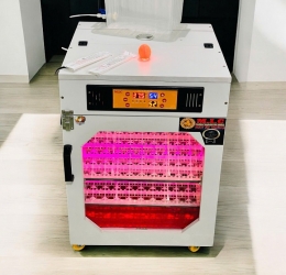 Máy ấp trứng 200 Phiên Bản Cao Cấp 2026