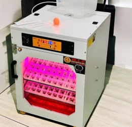 Máy ấp trứng 200 Phiên Bản Cao Cấp 2026