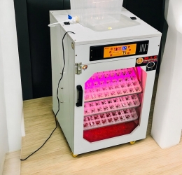 Máy ấp trứng 300 Phiên Cao Cấp bản 2026