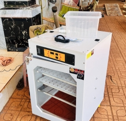 Máy ấp trứng 300 Phiên Cao Cấp bản 2026