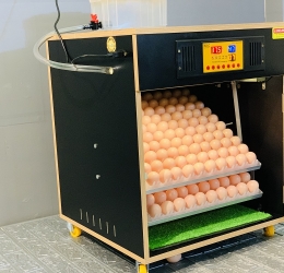 Máy ấp 200 trứng thế hệ 2022 | Phun Sương | Khử trùng | Đảo nghiêng 90 độ | Nhiệt độ INverter