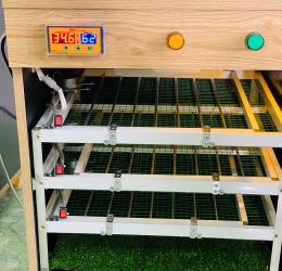 Máy ấp 180 trứng thế hệ 2021 | Đảo Lăn 360 | Phun Sương | Đèn Uv | Bơm nước Tự động