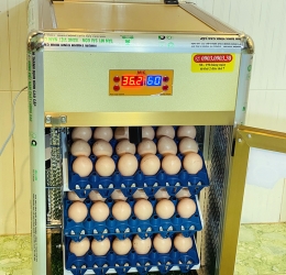 Máy ấp trứng 90 bản tiêu chuẩn thế hệ mới