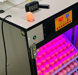 Máy ấp Mic 400 trứng phiên bản 2025 | Bản full cao cấp tự động hiện đại