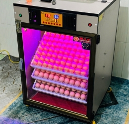 Máy ấp Mic 400 trứng phiên bản 2025 | Bản full cao cấp tự động hiện đại