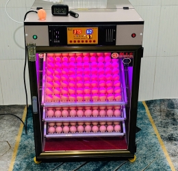 Máy ấp Mic 400 trứng phiên bản 2025 | Bản full cao cấp tự động hiện đại