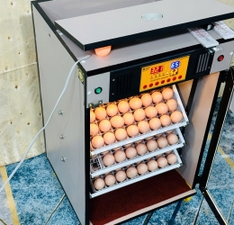 Máy ấp trứng 150 ( 168 sức chứa tối đa) Phiên bản mới nhất 2025 Bản tiêu chuẩn
