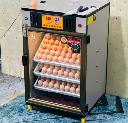 Máy ấp trứng 150 ( 168 sức chứa tối đa) Phiên bản mới nhất 2025 Bản tiêu chuẩn