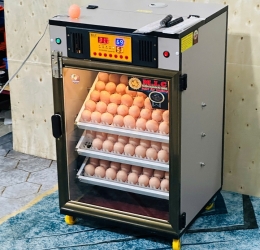 Máy ấp trứng 150 ( 168 sức chứa tối đa) Phiên bản mới nhất 2025 Bản tiêu chuẩn