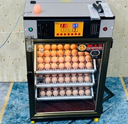 Máy ấp trứng 150 ( 168 sức chứa tối đa) Phiên bản mới nhất 2025 Bản tiêu chuẩn
