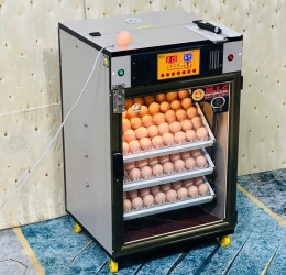 Máy ấp trứng 150 ( 168 sức chứa tối đa) Phiên bản mới nhất 2025 Bản tiêu chuẩn