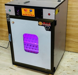 Máy ấp trứng Mic 300 phiên bản 2025 tự động hiện đại | Bản tiêu chuẩn