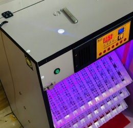 Máy ấp trứng Mic 300 phiên bản 2025 tự động hiện đại | Bản tiêu chuẩn