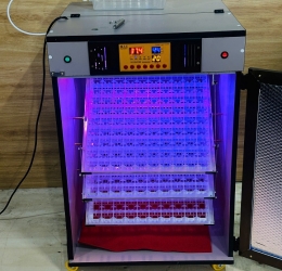 Máy ấp trứng Mic 300 phiên bản 2025 tự động hiện đại | Bản tiêu chuẩn