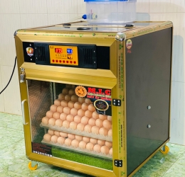 Máy ấp 200 trứng Kim Loại | Bản Cao Cấp | Phun Sương | ion khử trùng | Thế Hệ Mới 2023