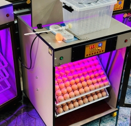 Máy ấp Mic 200 trứng phiên bản 2025 | Bản full cao cấp tự động hiện đại