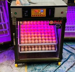 Máy ấp Mic 200 trứng phiên bản 2025 | Bản full cao cấp tự động hiện đại