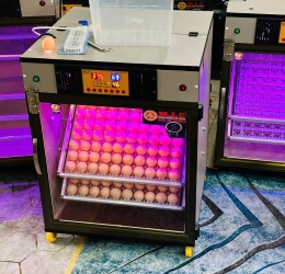 Máy ấp Mic 200 trứng phiên bản 2025 | Bản full cao cấp tự động hiện đại