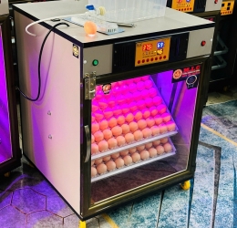 Máy ấp Mic 200 trứng phiên bản 2025 | Bản full cao cấp tự động hiện đại