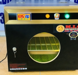 Máy ấp trứng 100 quả thế hệ 2021 | đảo lăn 360 | phun sương | khử khuẩn UV