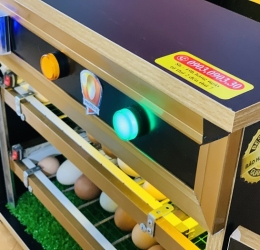 Máy ấp trứng 100 quả thế hệ 2021 | đảo lăn 360 | phun sương | khử khuẩn UV