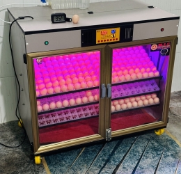 Máy ấp Mic 600 trứng phiên bản 2025 | Bản full cao cấp tự động hiện đại