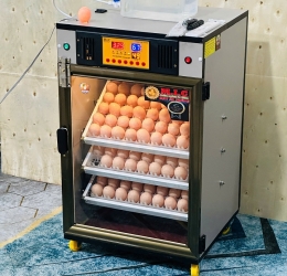 Máy ấp trứng 150 ( 168 sức chứa tối đa) Phiên bản mới nhất 2025 Bản Cao cấp