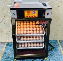 Máy ấp trứng 150 ( 168 sức chứa tối đa) Phiên bản mới nhất 2025 Bản Cao cấp