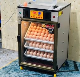 Máy ấp trứng 150 ( 168 sức chứa tối đa) Phiên bản mới nhất 2025 Bản Cao cấp