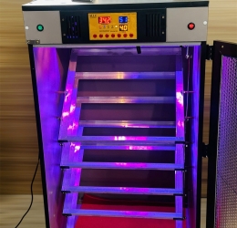 Máy ấp trứng Mic 500 phiên bản 2025 | Bản base tiêu chuẩn