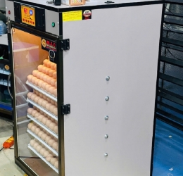 Máy ấp Mic 500 trứng phiên bản 2025 | Bản full cao cấp tự động hiện đại