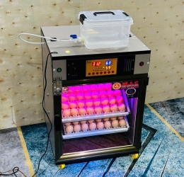 Máy ấp trứng 100 cao cấp (112 sức chứa) Phiên bản mới nhất 2025 | Bản Cao Cấp