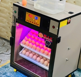 Máy ấp trứng 100 cao cấp (112 sức chứa) Phiên bản mới nhất 2025 | Bản Cao Cấp