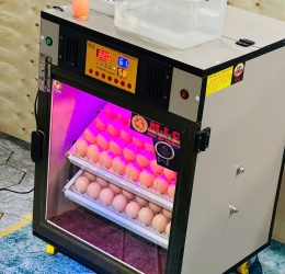 Máy ấp trứng 100 cao cấp (112 sức chứa) Phiên bản mới nhất 2025 | Bản Cao Cấp