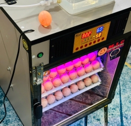 Máy ấp trứng 100 cao cấp (112 sức chứa) Phiên bản mới nhất 2025 | Bản Cao Cấp