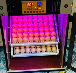 Máy ấp trứng 100 cao cấp (112 sức chứa) Phiên bản mới nhất 2025 | Bản Cao Cấp