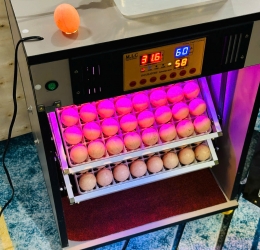 Máy ấp trứng 100 cao cấp (112 sức chứa) Phiên bản mới nhất 2025 | Bản Cao Cấp