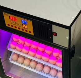 Máy ấp trứng 100 cao cấp (112 sức chứa) Phiên bản mới nhất 2025 | Bản tiêu chuẩn