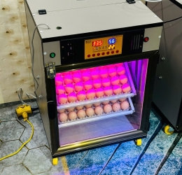 Máy ấp trứng 100 cao cấp (112 sức chứa) Phiên bản mới nhất 2025 | Bản tiêu chuẩn